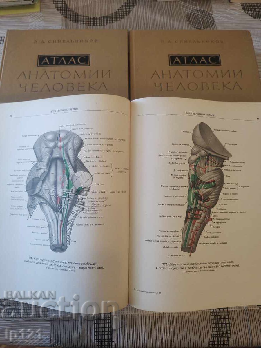 Atlase de anatomie Sinelnikov 3 volume cu preț € 75.00 | 146.69 BGN