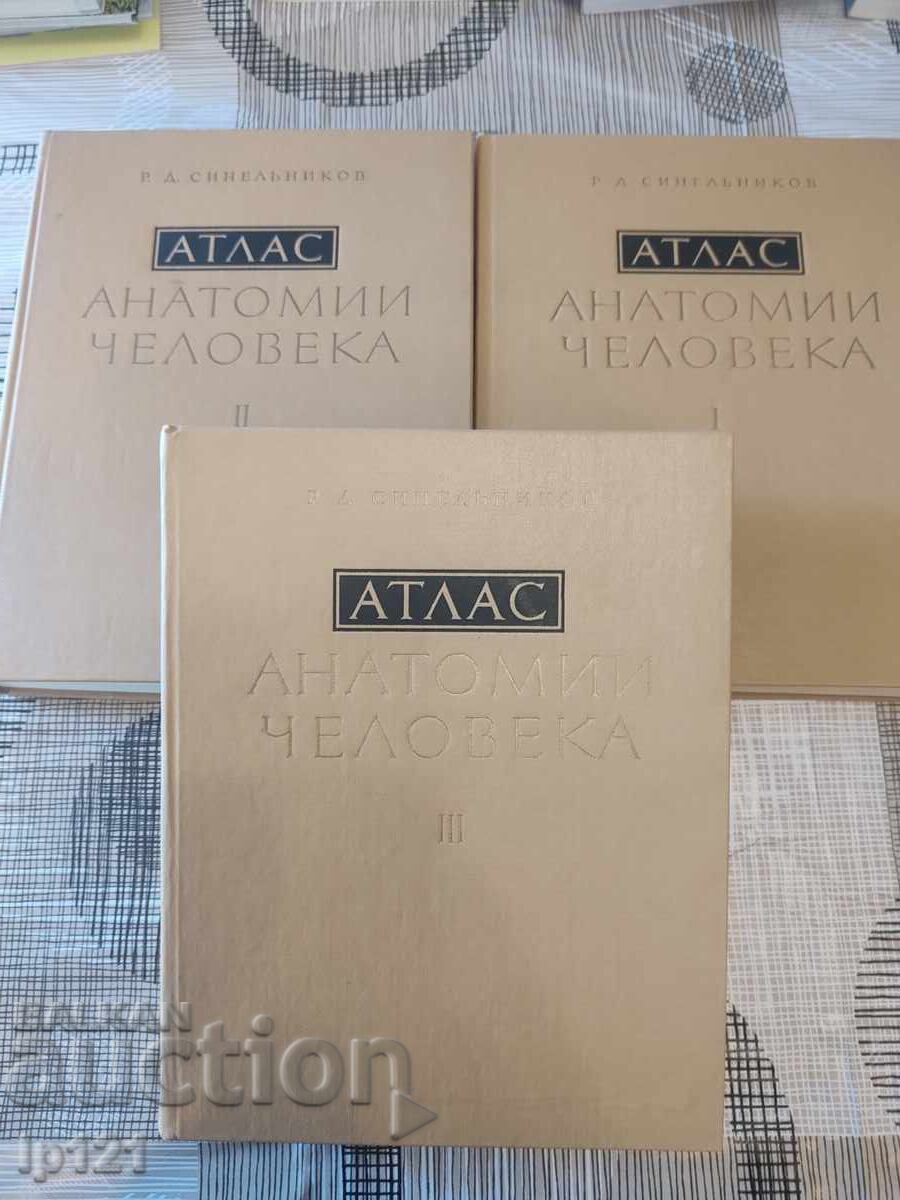 Atlase de anatomie Sinelnikov 3 volume