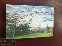 Честита пролет - Банка "Хеброс" АД