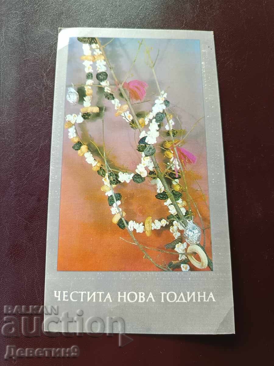 Ч.Н.Г. - Дирекция "Народна просвета" В. Търново 1979 г.