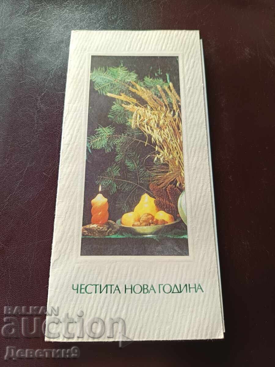 Ч.Н.Г. -  БЗНС В. Търново 1981 г.