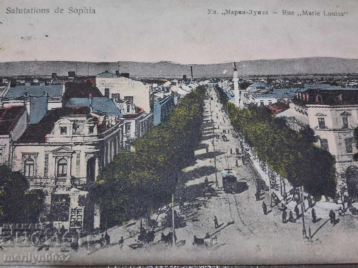 Φωτογραφία ταχυδρομικό δελτάριο Σόφια 1909 οδός Μαρία Λουίζα - 5
