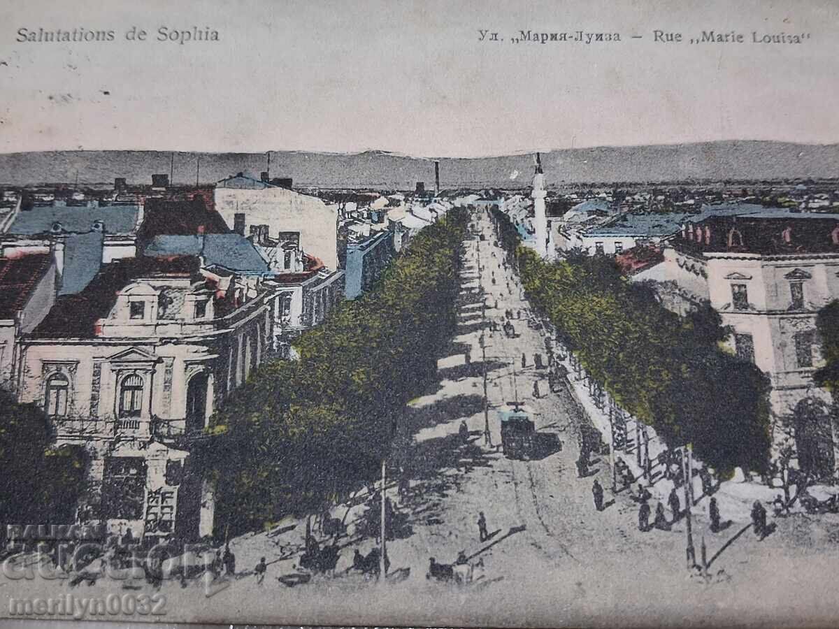 Φωτογραφία ταχυδρομικό δελτάριο Σόφια 1909 οδός Μαρία Λουίζα - 6