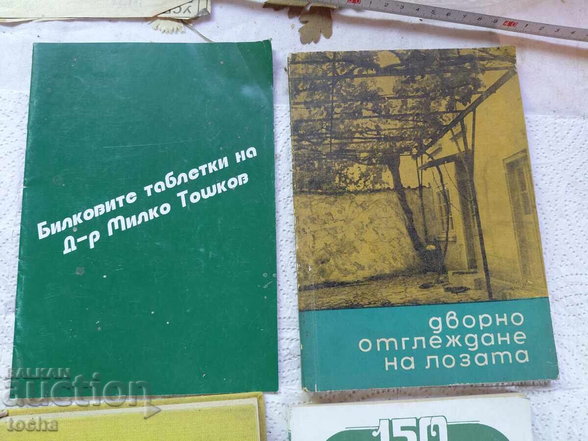 Δημοπρασία Αμπελουργία, βότανα, οικόπεδο