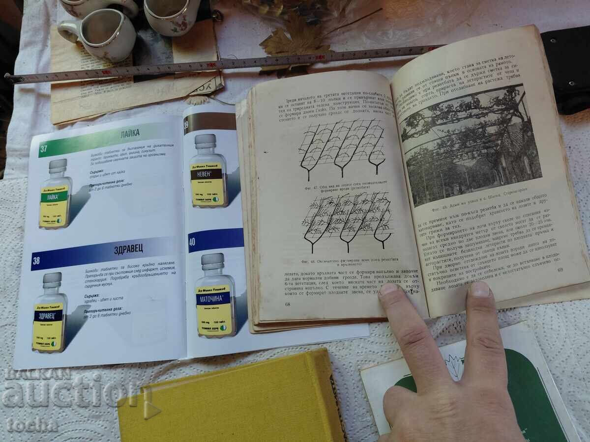 Αμπελουργία, βότανα, οικόπεδο - 5