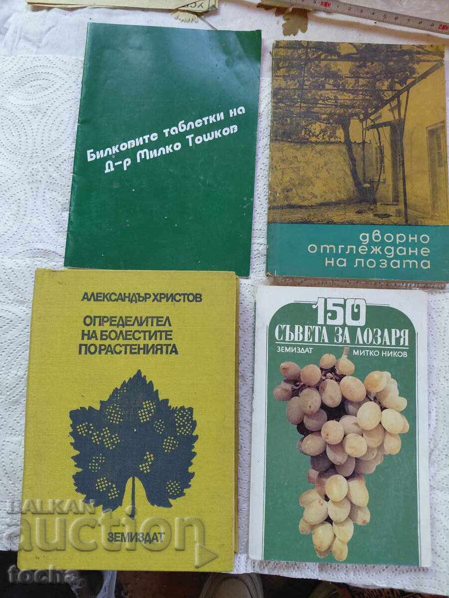 Αμπελουργία, βότανα, οικόπεδο