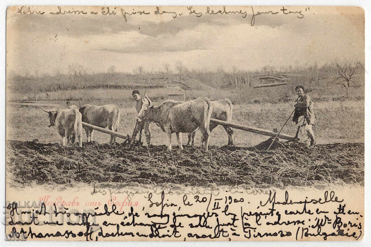 Bulgaria, Salutări din Sofia, Arători, leu mic, circulată, 1901
