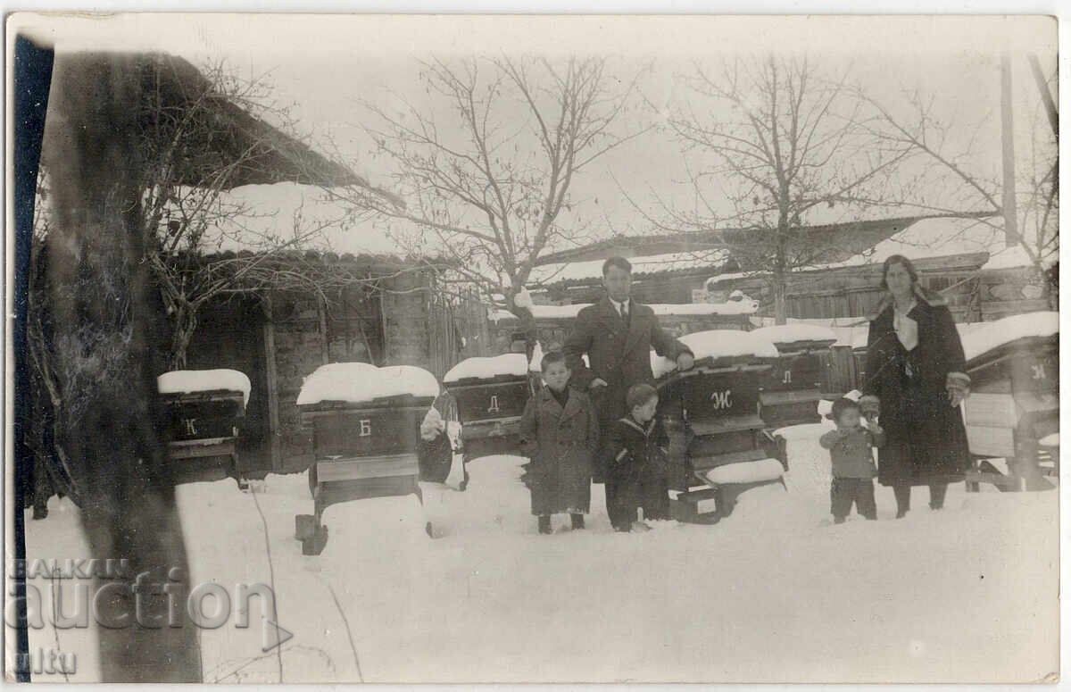Bulgaria, Stupină în satul Râchită, iarna, 1935