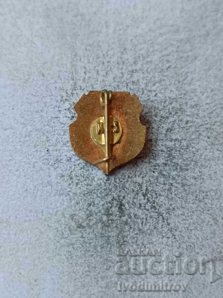 Romanian Volleyball Federation FRV pin badge with price € 2.46 | 4.81 BGN