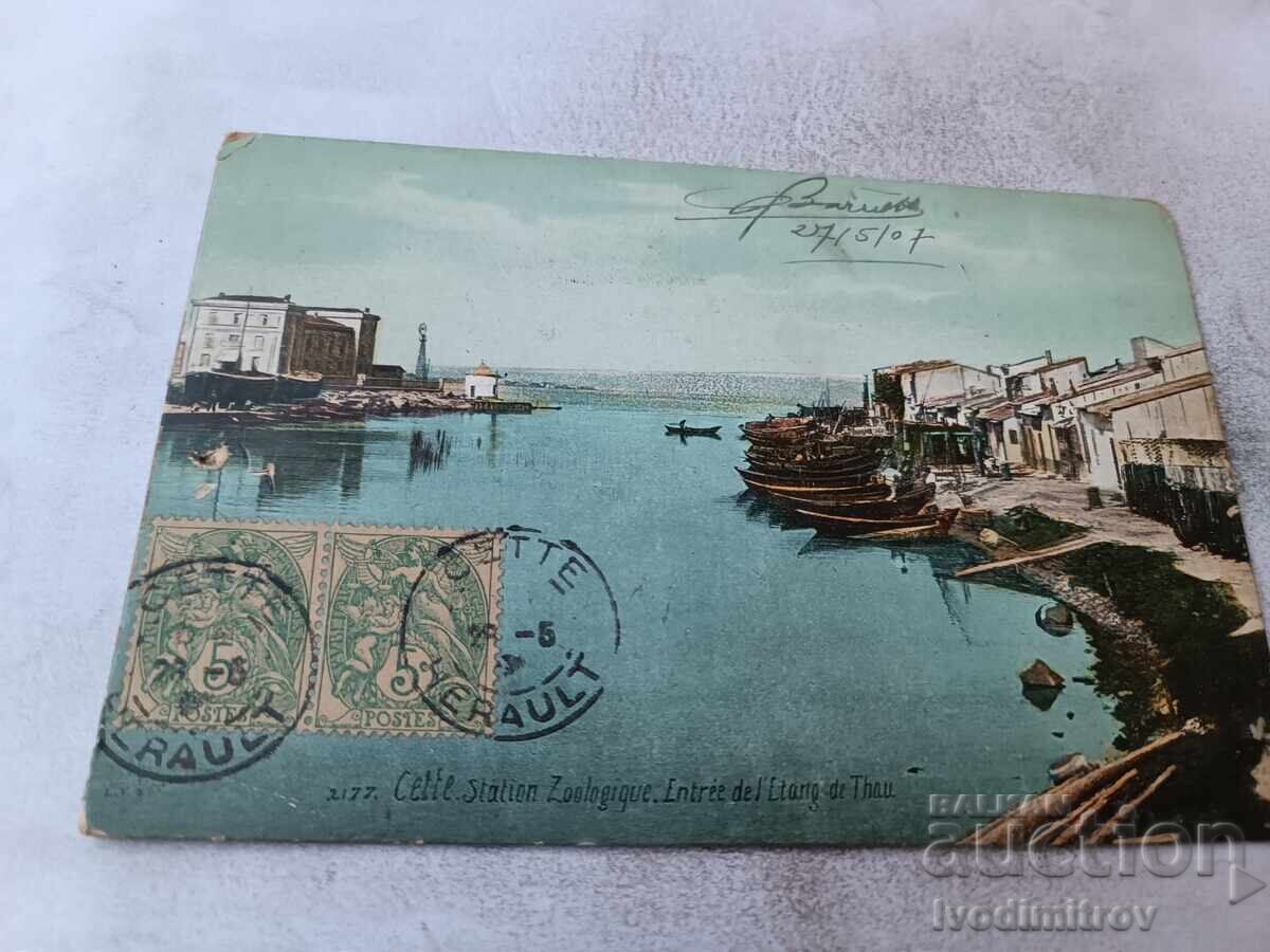 P K Această Stațiune Zoologică Intrarea în Iazul Thau 1907