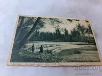 Carte poștală Racconigi Un Angola Nittosica