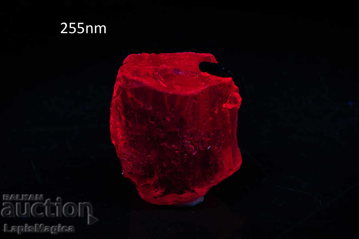 Licitație Cristal de scapolit fluorescent 14.7ct Licitație Cristal de scapolit fluorescent 14.7ct