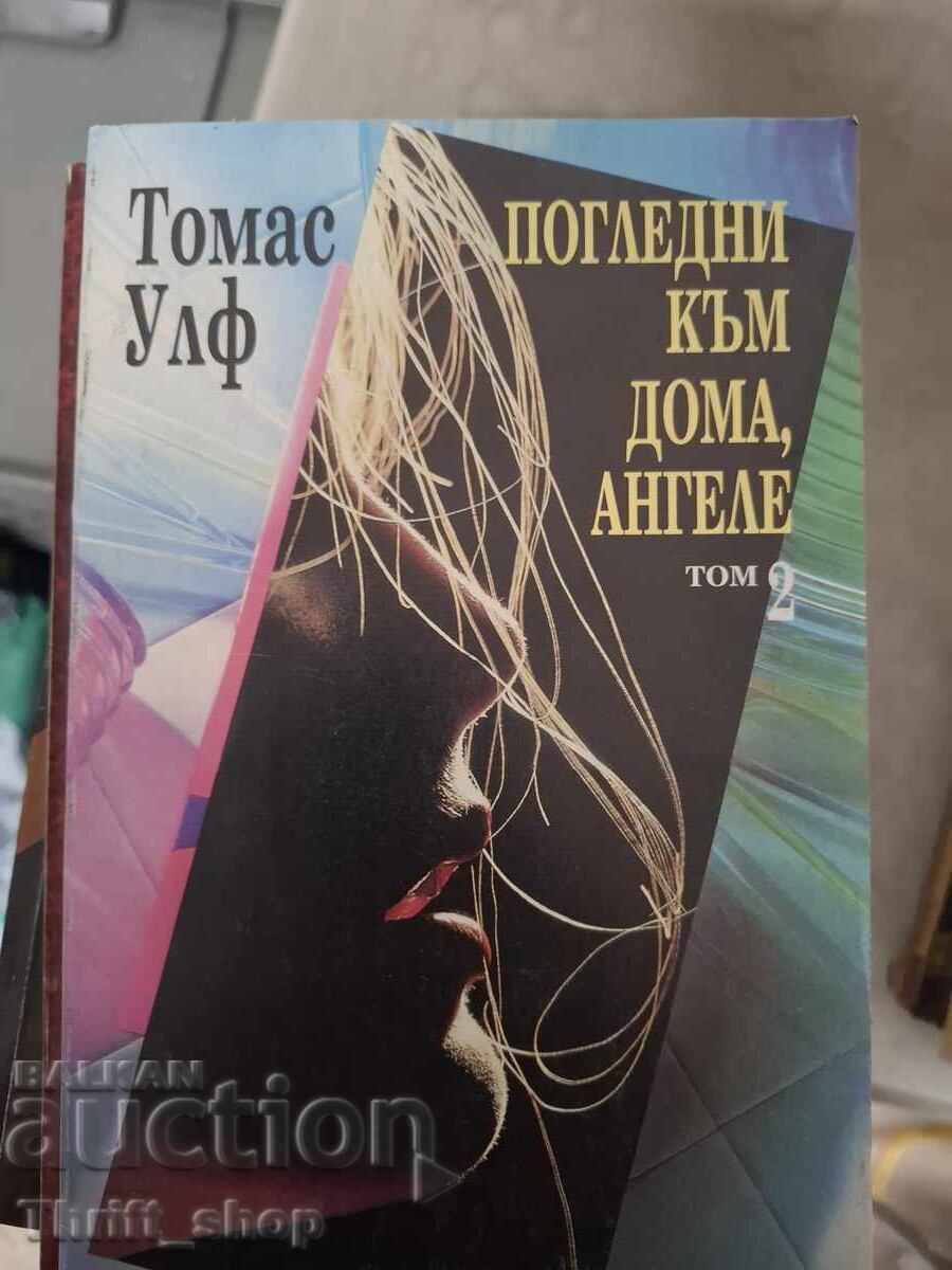 Privește spre casă, îngere, Thomas Wolfe, volumul 2