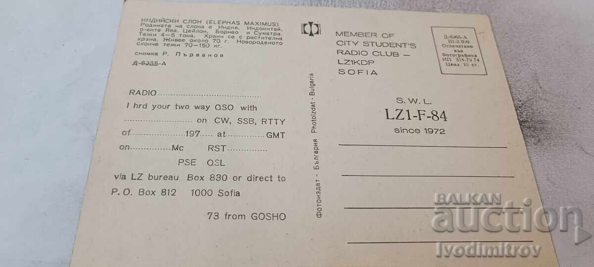 P K Sofia Grădina Zoologică Elefant indian 1974 cu preț € 17.00 | 33.25 BGN P K Sofia Grădina Zoologică Elefant indian 1974 cu preț € 17.00 | 33.25 BGN