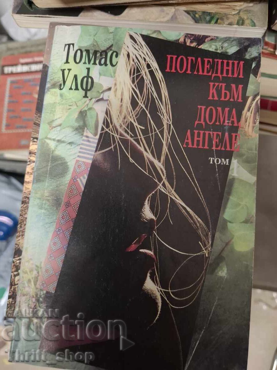 Privește spre casă, îngere. Volumul 1 Thomas Wolfe
