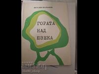 Yuzek's Forest Veselin Valchanov