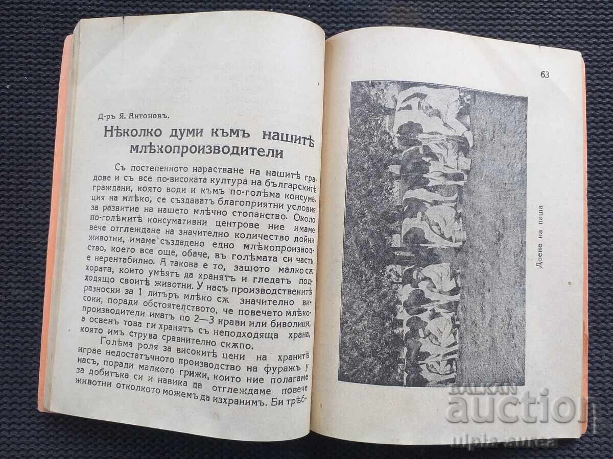 Аукцион 1935 г. ГОДИШНИКЪ