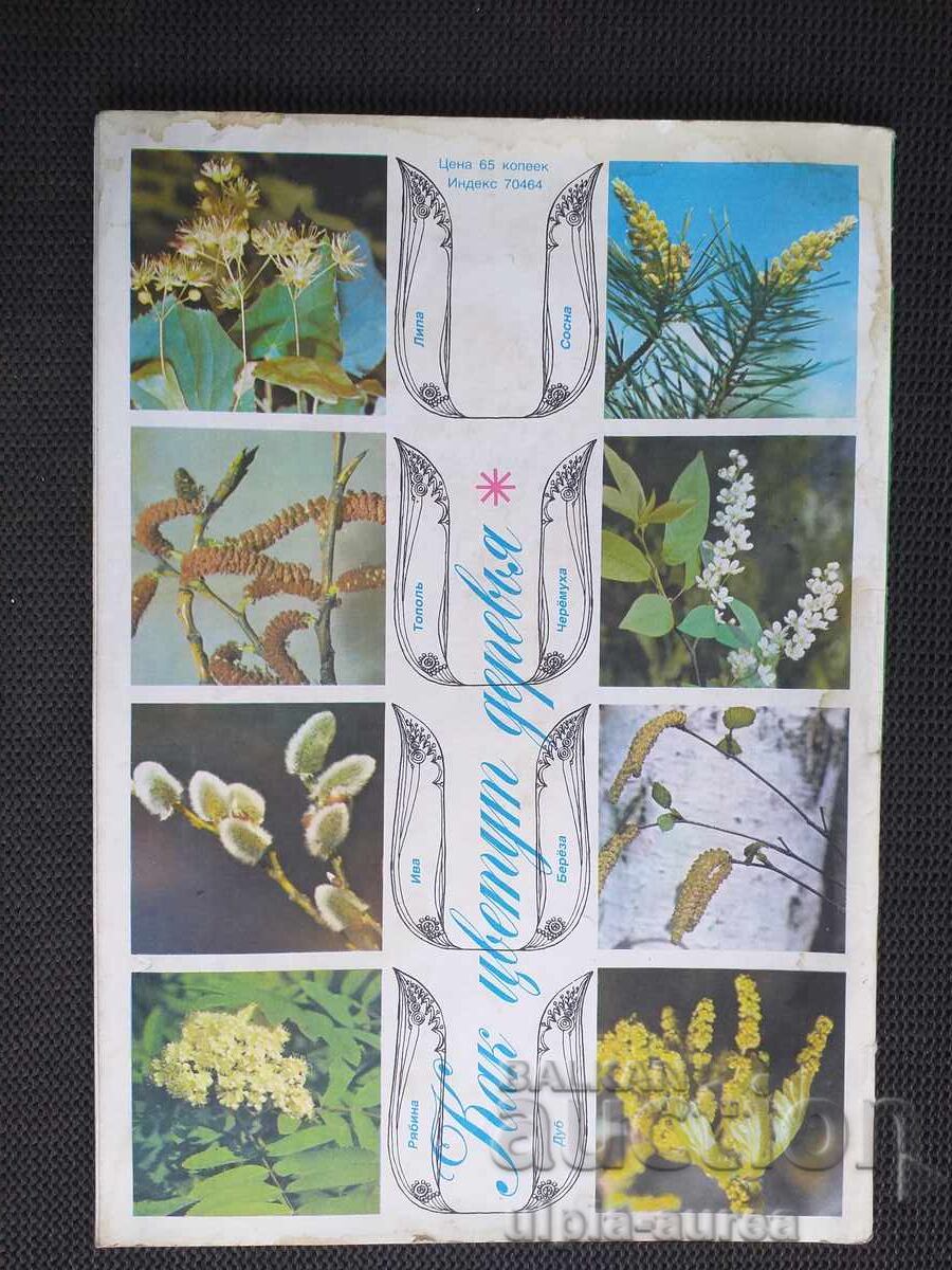 1981 COLOBOC cu preț € 0.80 | 1.56 BGN