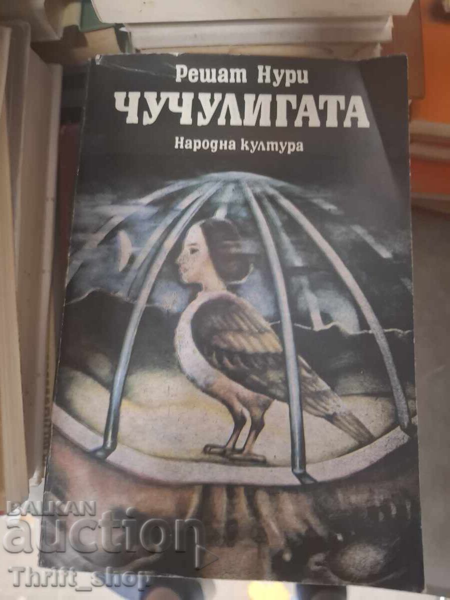 Ciocoasa Reshat Nuri
