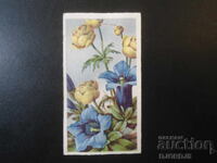 Carte poștală veche, 1.III.1946, Lădjene