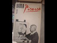 Picasso