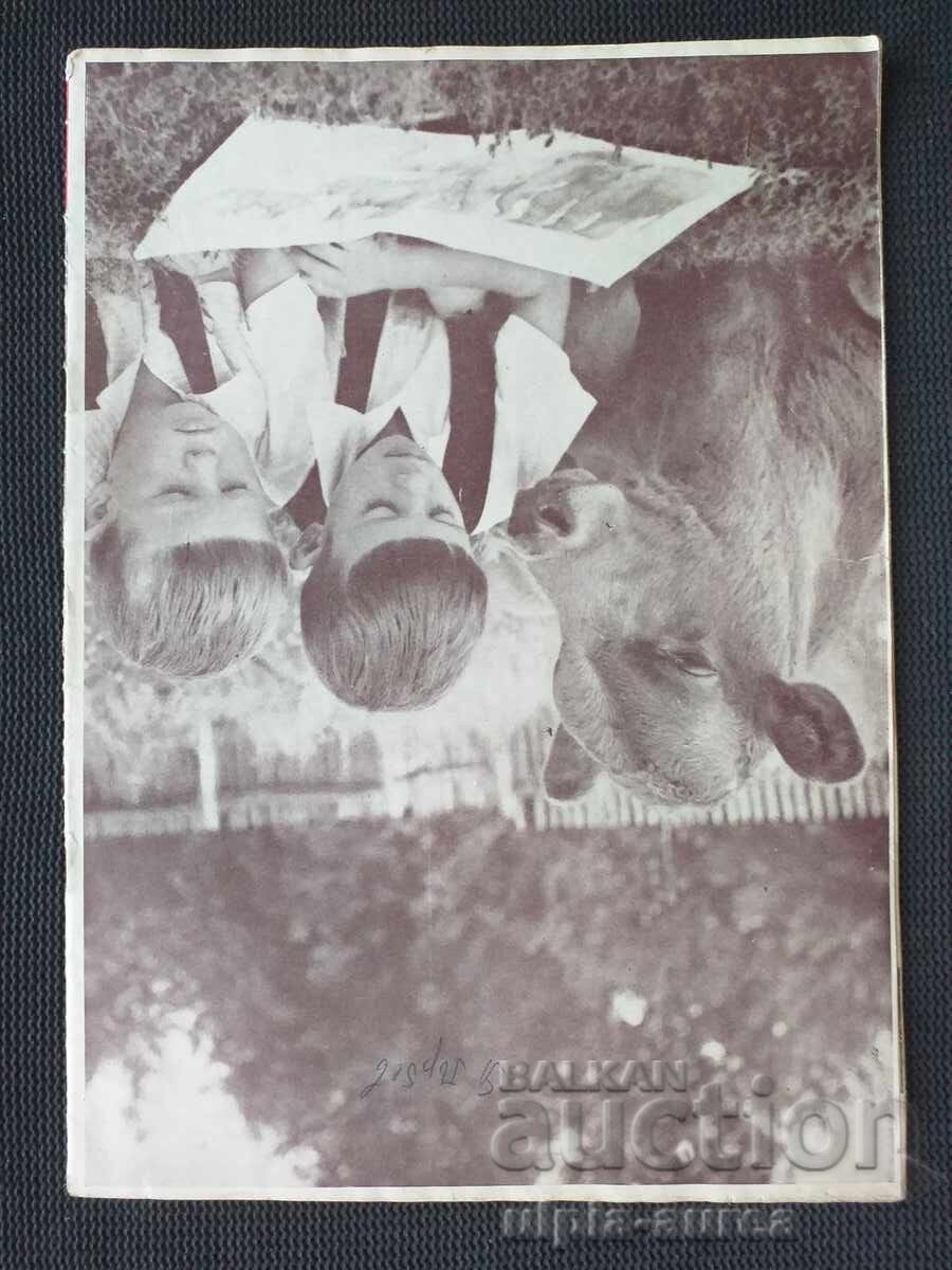 Auction  1955 Bulgarian-Soviet Friendship