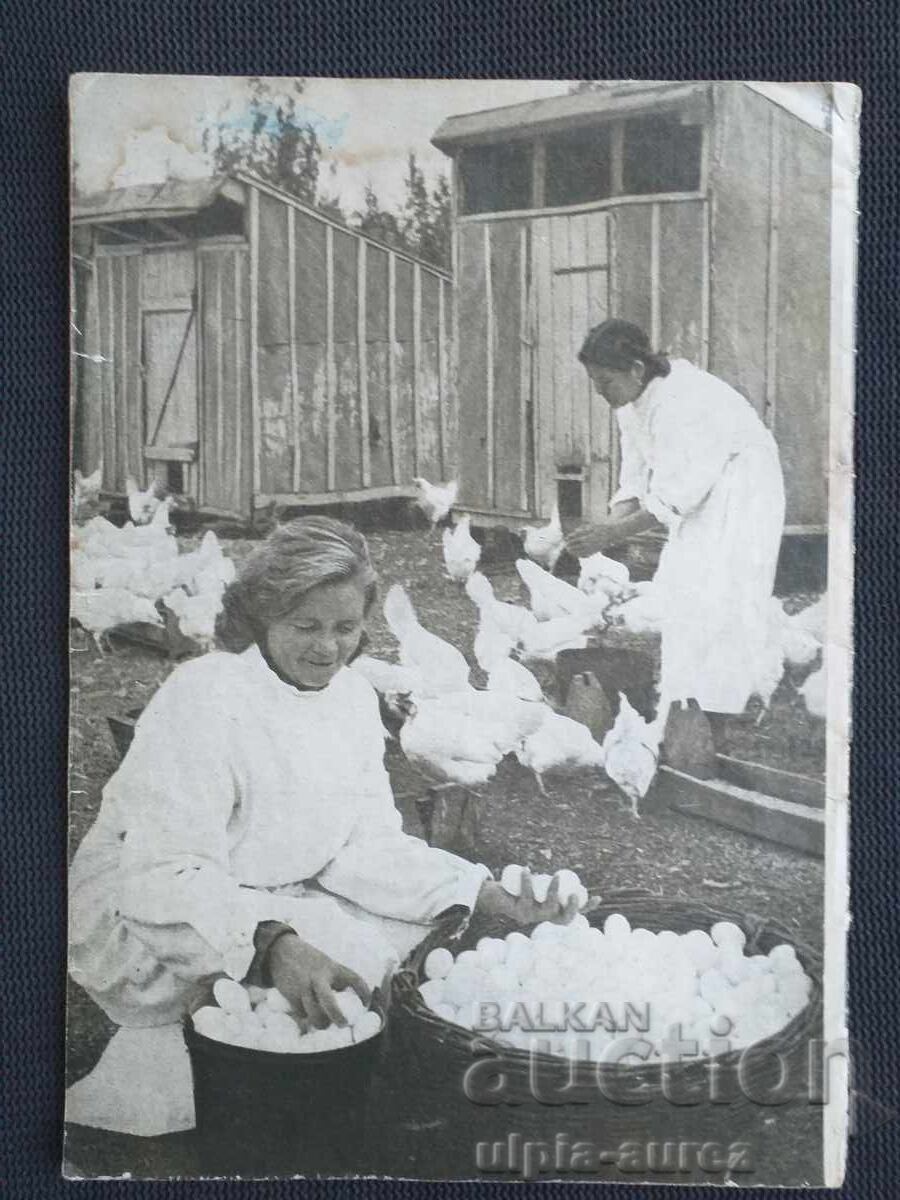 1955 g. Bŭlgaro-sŭvet·ska druzhba με τιμή € 1.50 | 2.93 BGN