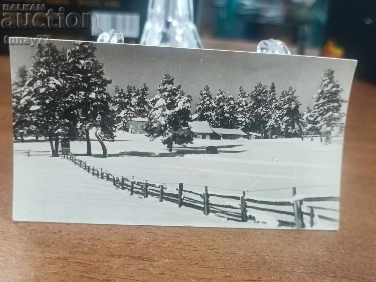 Vintaj cărți poștale vechi fotografii și altele Vintaj cărți poștale vechi fotografii și altele