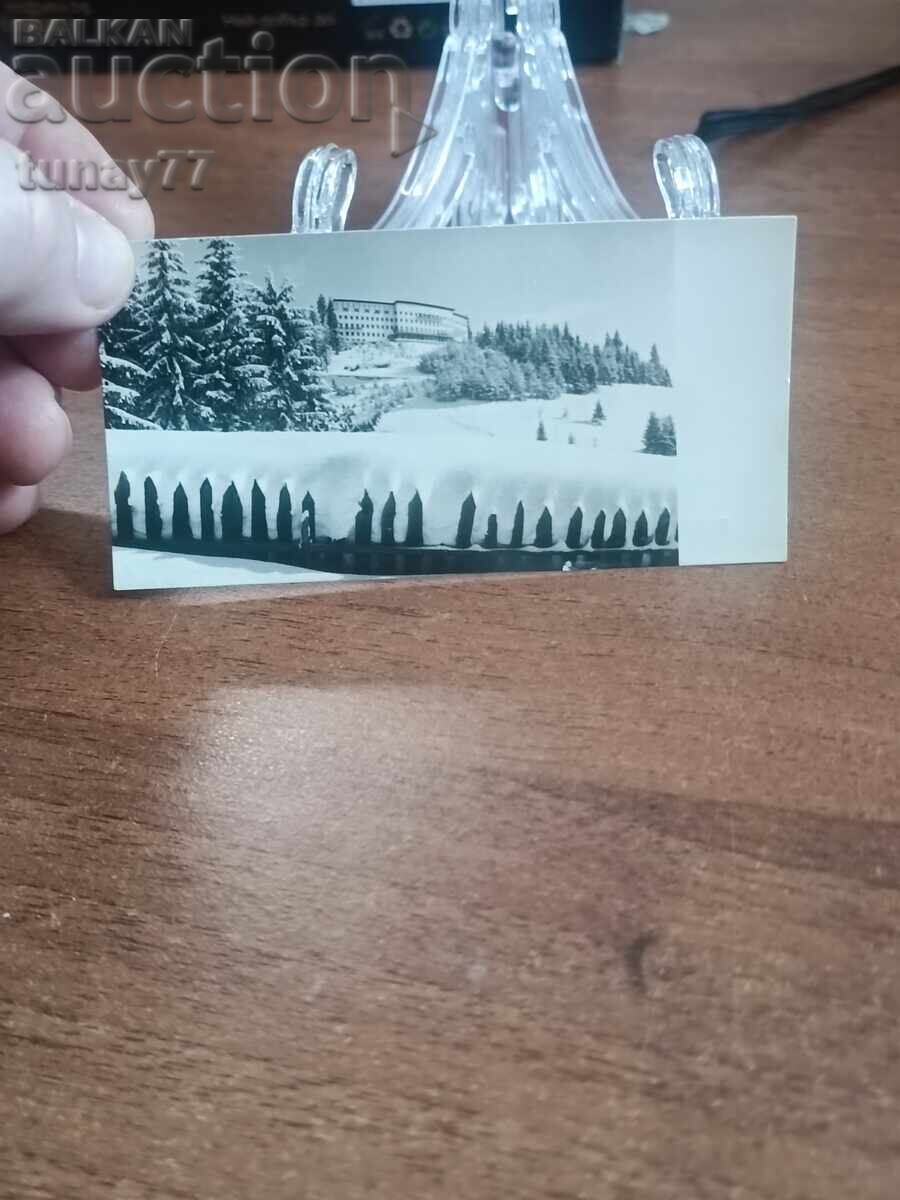 Vintaj cărți poștale vechi fotografii și altele