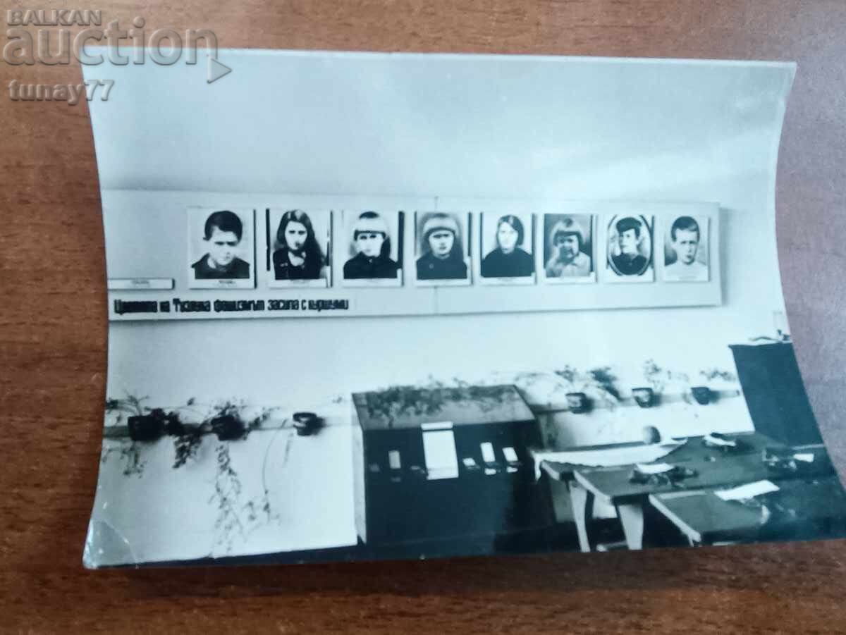 Carte veche vintage Cele șase șoimulețe