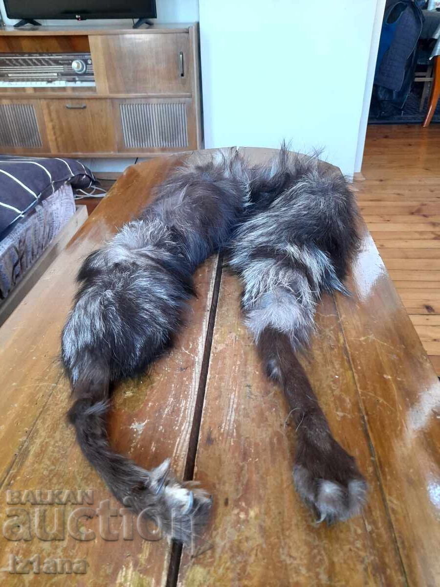 Παλιό δερμάτινο γιακά
