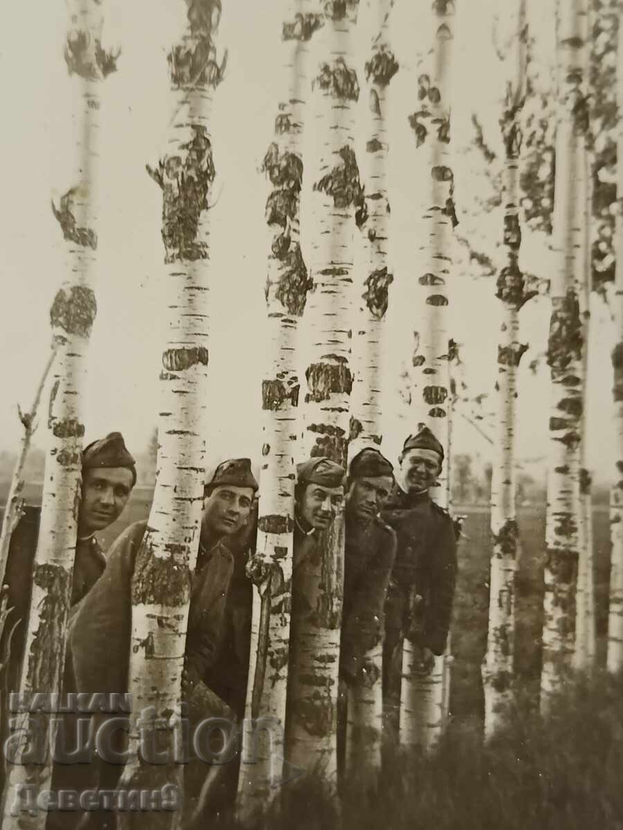 Auction  Soldiers among lined-up trees 1942