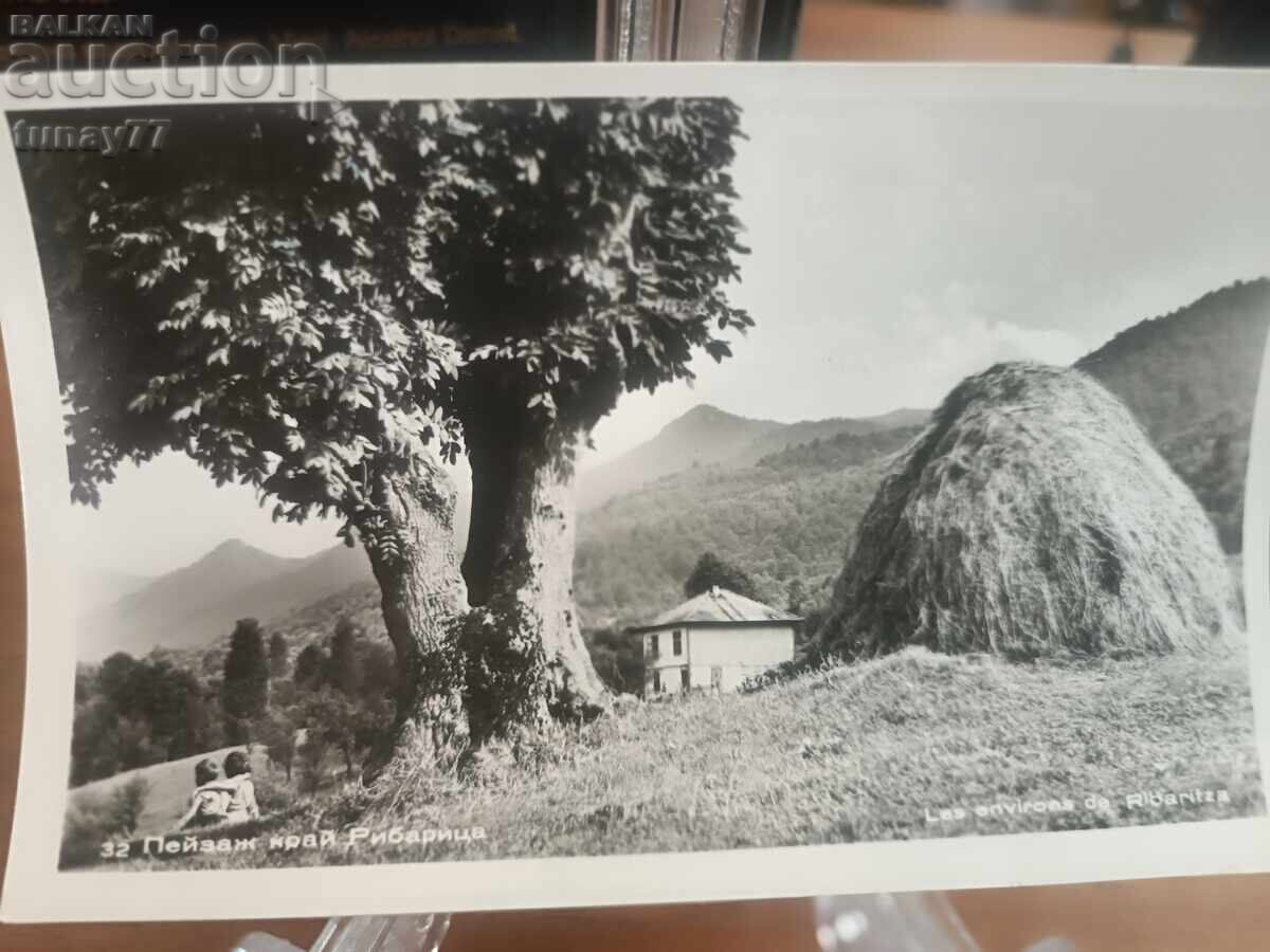 Vintaj cărți poștale vechi fotografii și altele