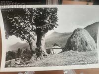 Vintaj cărți poștale vechi fotografii și altele