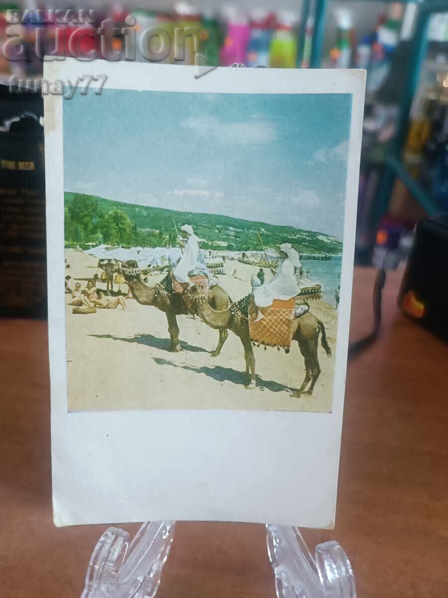 Vintage παλιές κάρτες φωτογραφίες και άλλα Χρυσή Αμμουδιά