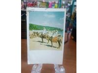 Vintaj cărți poștale vechi fotografii și altele Nisipurile de Aur