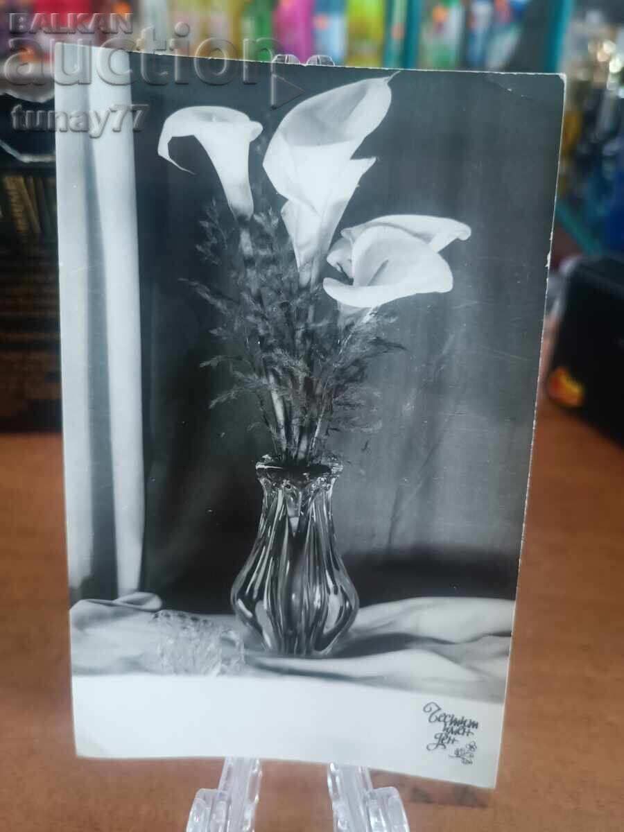 Vintage παλιές κάρτες φωτογραφίες και άλλα