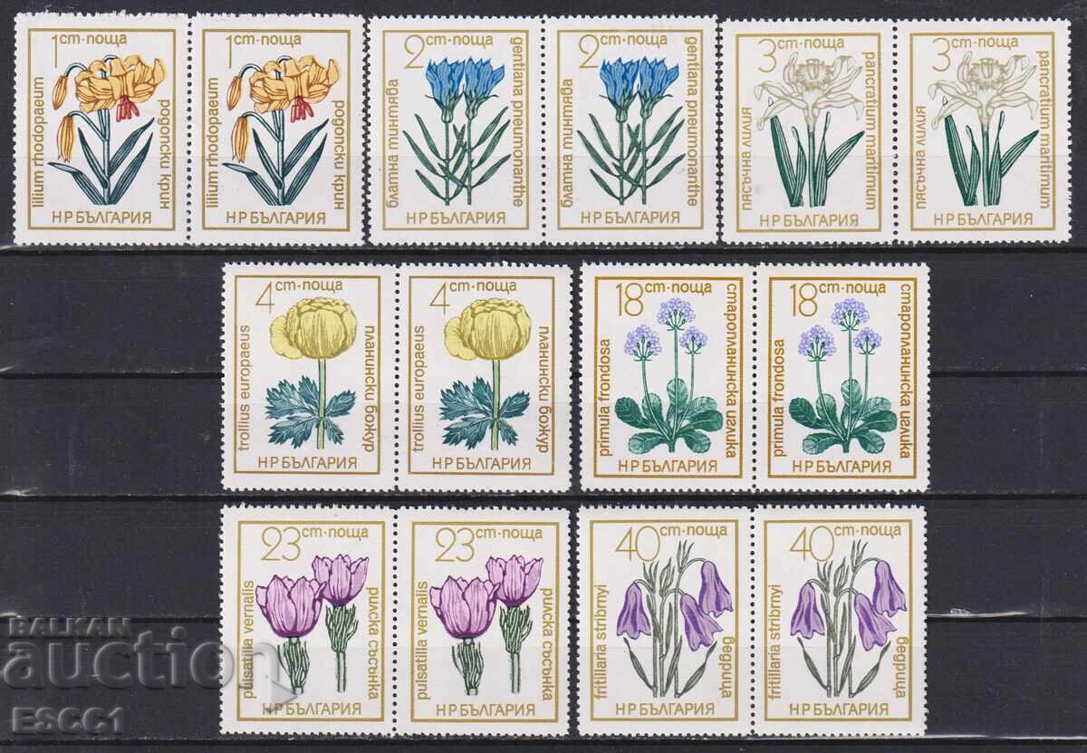 Mint stamps Flora Flowers 1972 from Bulgaria