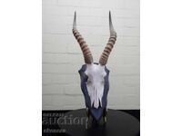 Trofeu de antilopă africană Blesbok