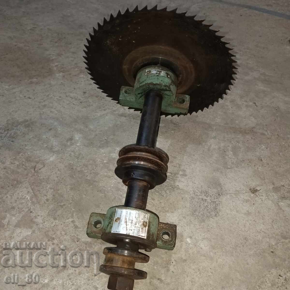 Arbor with circular saw blade