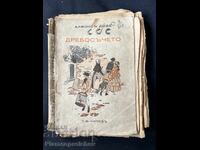 CARTE VECHE DREBOSCHETOTO T.F CHIPEV