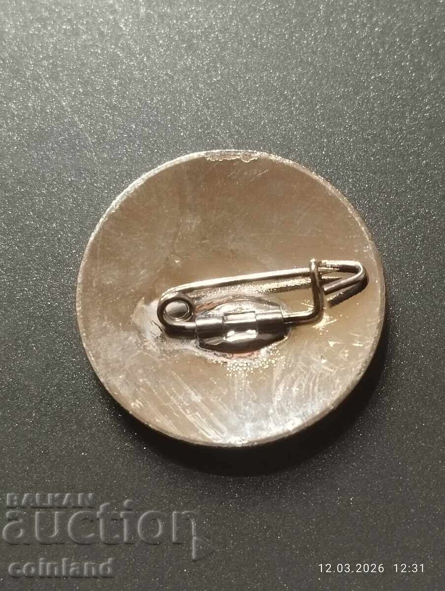 German Nazi Badge REPRODUCTION with price € 8.00 | 15.65 BGN