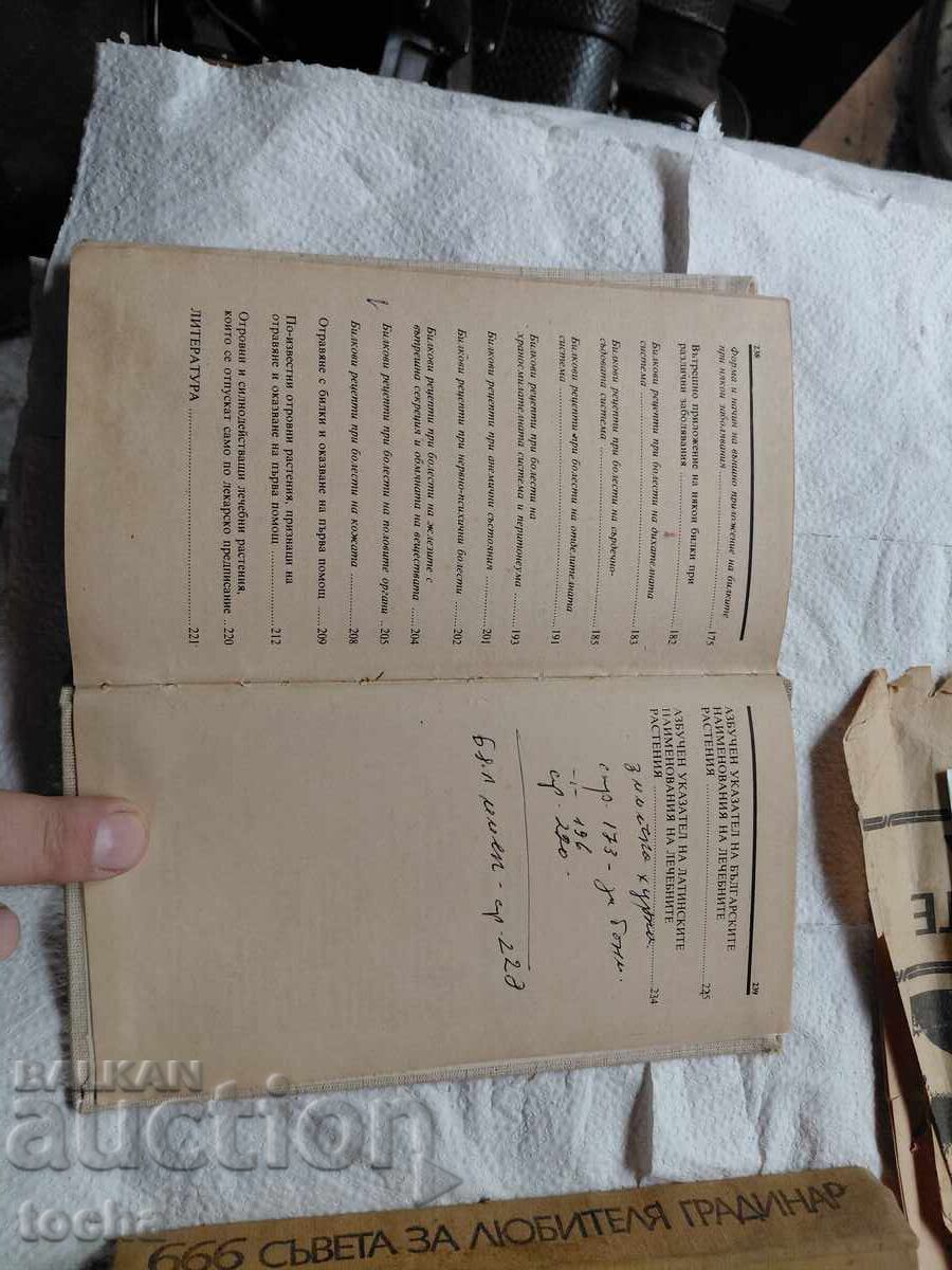 Δημοπρασία κηπουρική και βότανα, παρτίδα