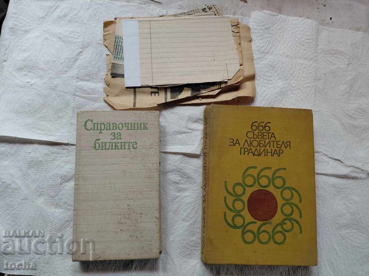 κηπουρική και βότανα, παρτίδα