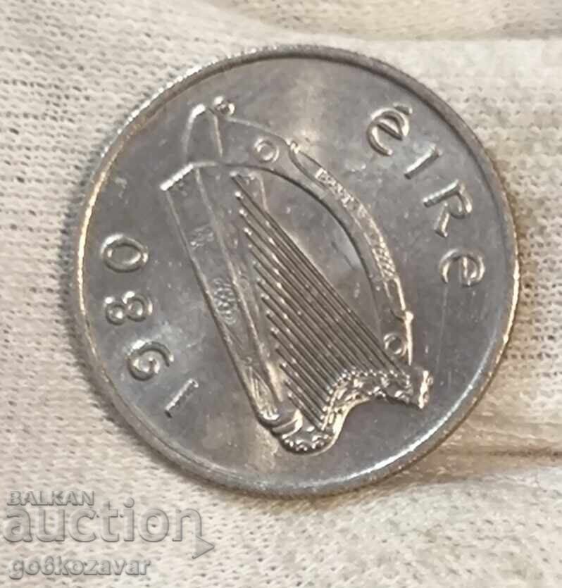 Irlanda 5 pence 1980 UNC