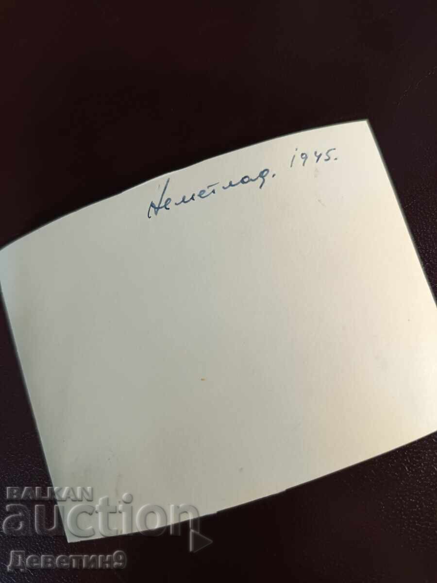 Németlad, Hungary 1945 with price € 3.90 | 7.63 BGN
