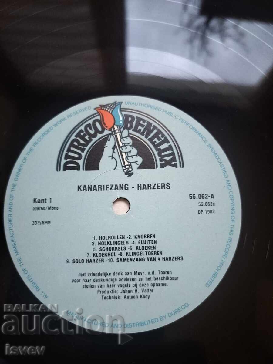 Auction  Canary song, long-playing vinyl record
