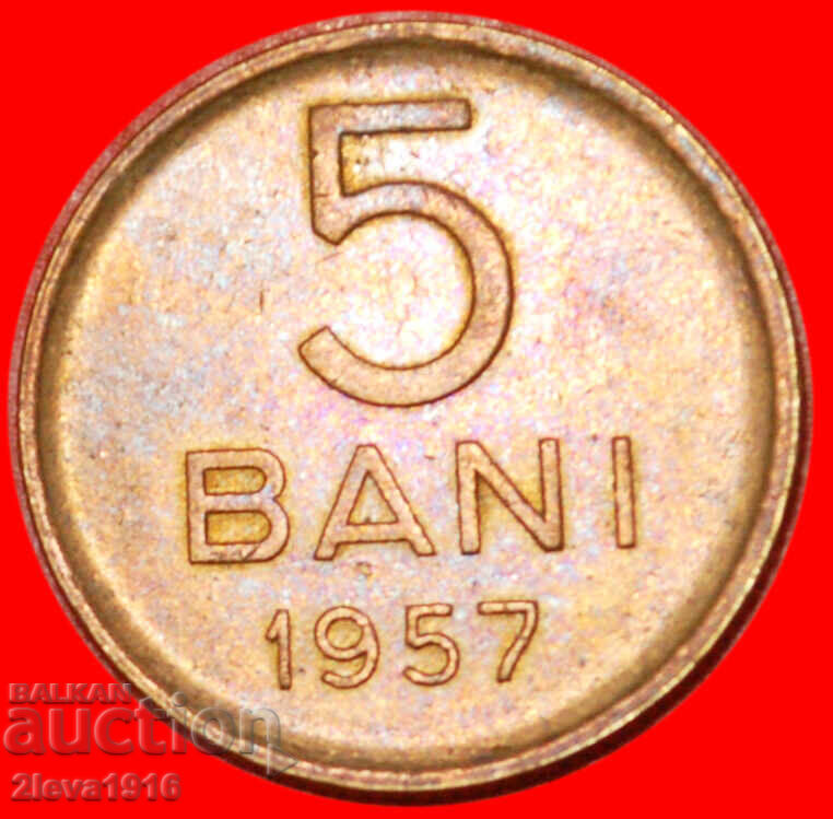 Ⰺ CU STEA (1953-1957)~RAR ★ ROMÂNIA ★ 5 BANI 1957! SUPERB