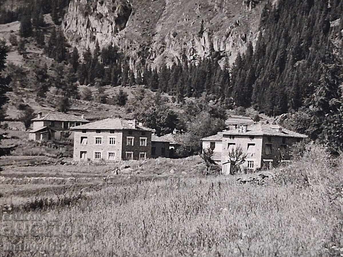 Photo postcard Smolyan 1960 with price € 12.94 | 25.31 BGN