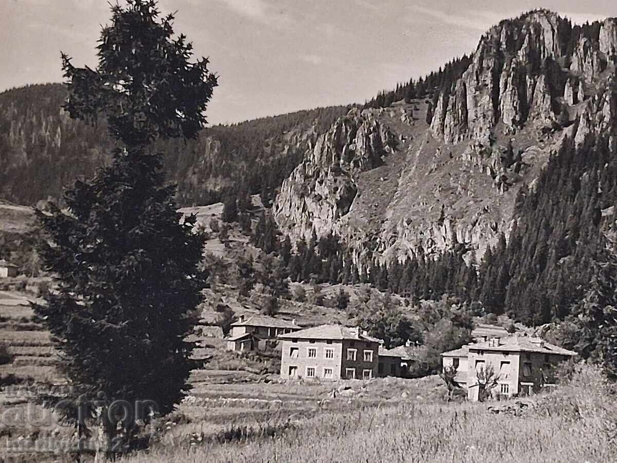 Auction  Photo postcard Smolyan 1960